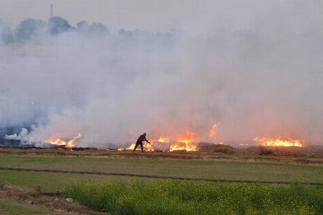 India Fire Data